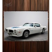 Металлическая табличка Pontiac Firebird Trans Am 549